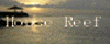オンラインショップリンク集 HouseReef